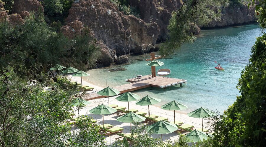 D Maris Bay