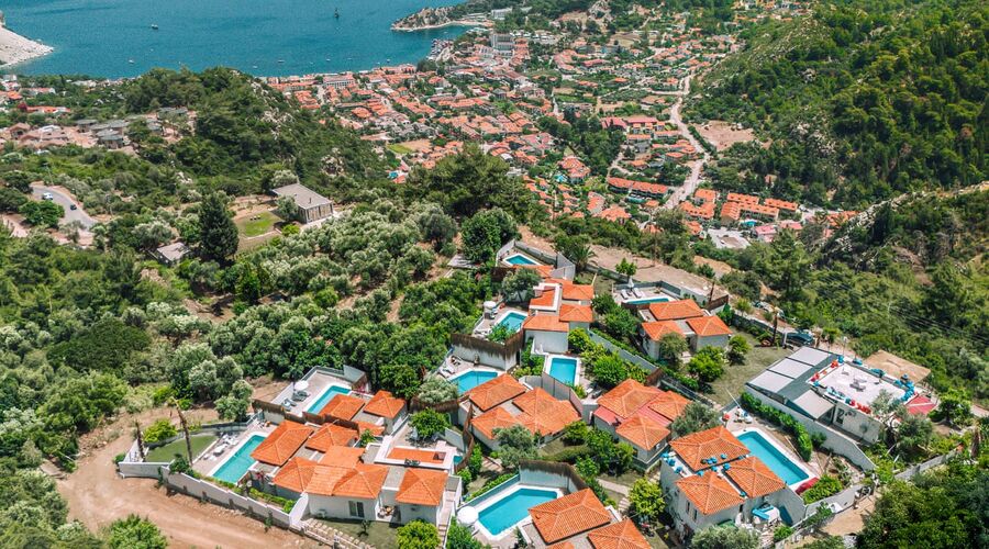Alya Country Turunç