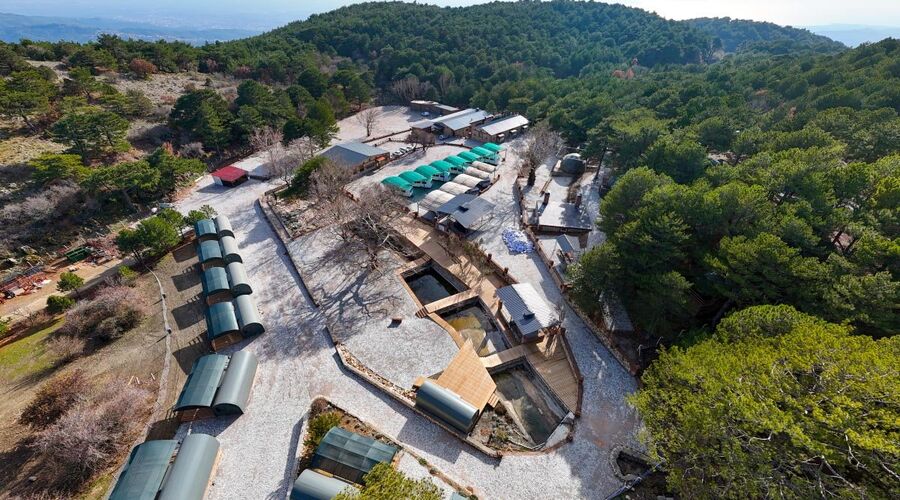 Mas Kaz Dağı Kamping