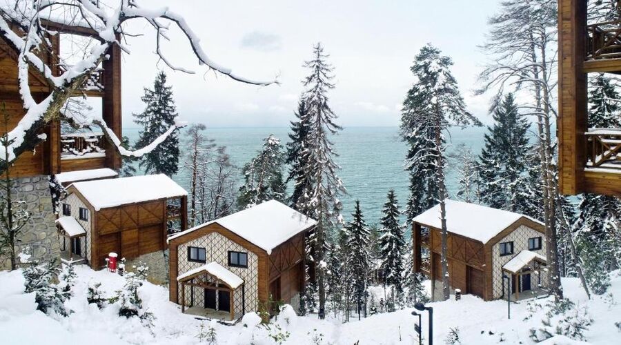 Hancıoğlu Çamburnu Orman Evleri & Otel