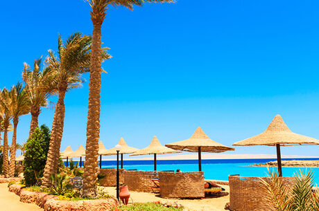  Mega Promosyon Baştanbaşa Gizemli Mısır Turu Pegasus Havayolları ile 7 Gece 8 Gün (Hurgada-Sharm) ATL001