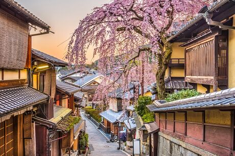 Japonya Kore Turu THY NRT İle 11 Gece 12 Gün - 2025