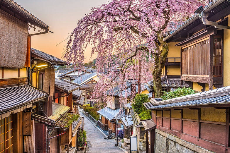 Japonya Kore Turu THY NRT İle 11 Gece 12 Gün - 2025